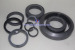 Tungsten Carbide Seals Series