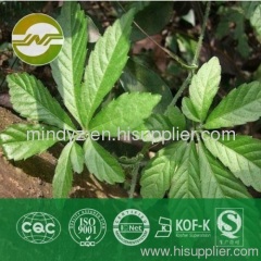 gynostemma pentaphyllum extract gypenoside