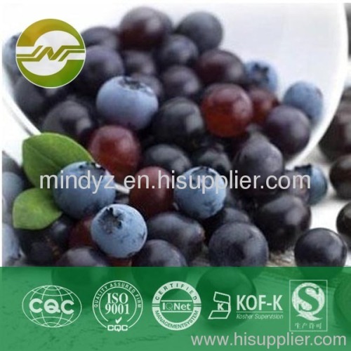 blueberry extract Anthocyanidin 5%