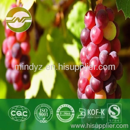 Grape Seed Extract OPC