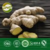 Ginger root extract gingerol