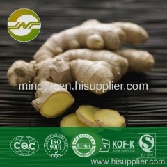 Ginger root extract gingerol