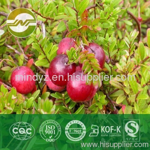 cranberry extract anthocyanidins 5%