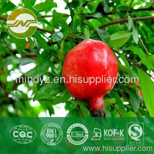 pomegranate peel extract polyphenols