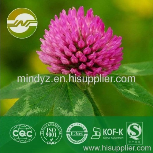 red clover extract isoflavones