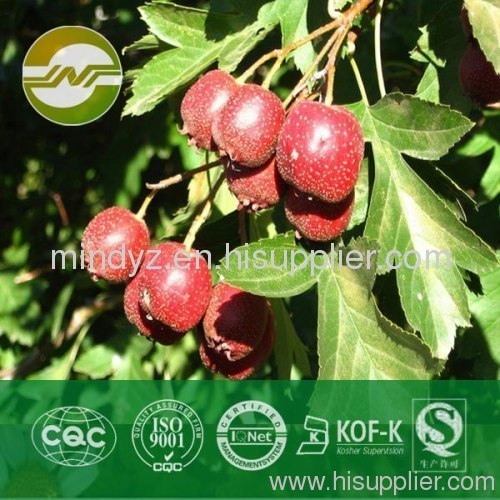 hawthorn leaf extract Flavonoids