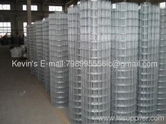 electro galvanized / PCV coated welded wire mesh