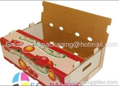 Fruit Paper Packing Box