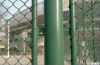 Plastic coated chain link fence /