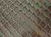 Plastic coated chain link fence