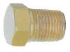 Brass fitting pipe plugs