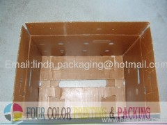 Wax Carton Box from China