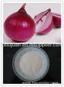 spray dried onion powder