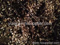 2013 New Wood Chippers