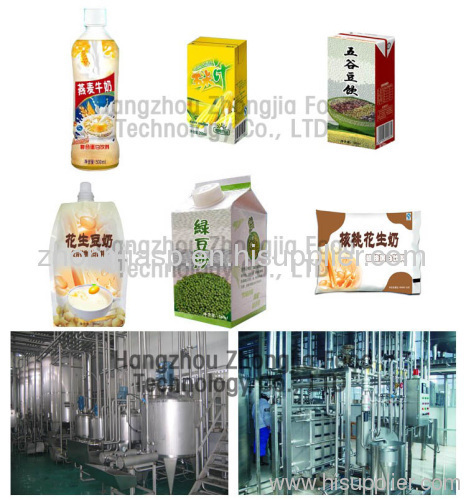 Peanut Milk Technology & Equipment