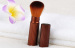 Fashion Cosmetic Retractable Brush