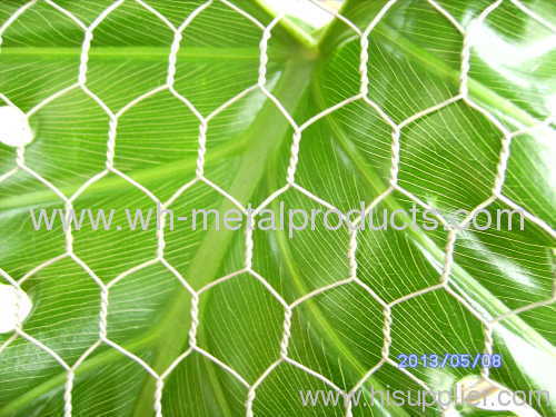 poultry chicken netting fence