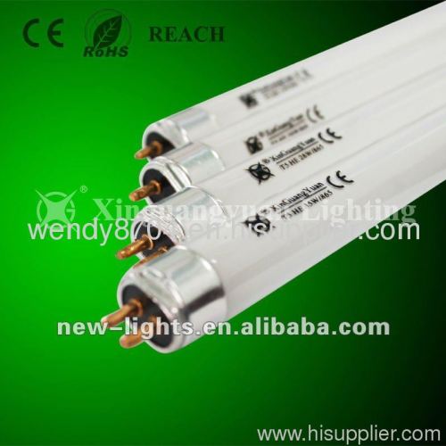 T5 fluorescent lamp tube