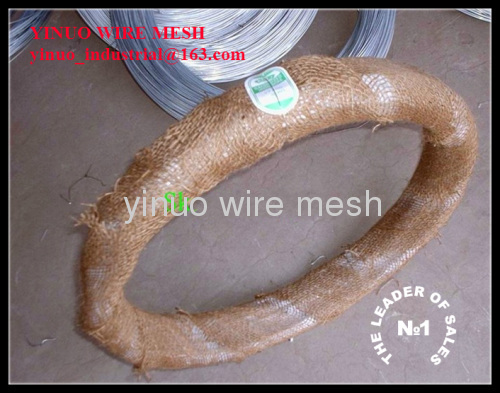 Q195 Galvanized Wire for Bining Wire Construction