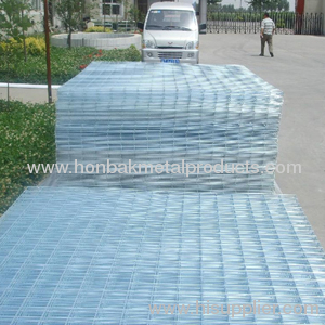 Welded Wire Mesh Panel(factory)