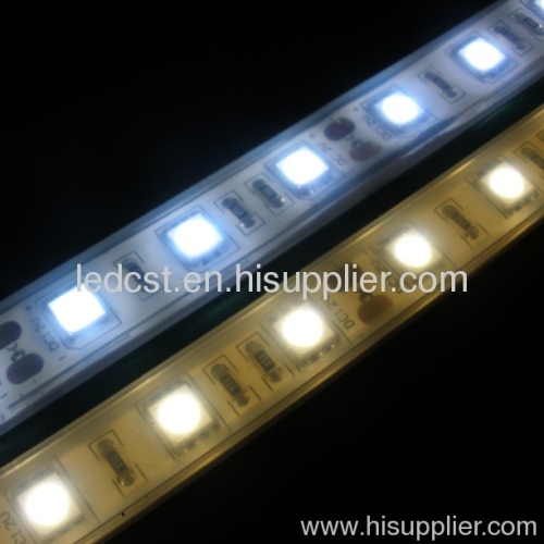 Ip68 Waterproof Smd3528 30Leds/M 12V Ribbon LED Light