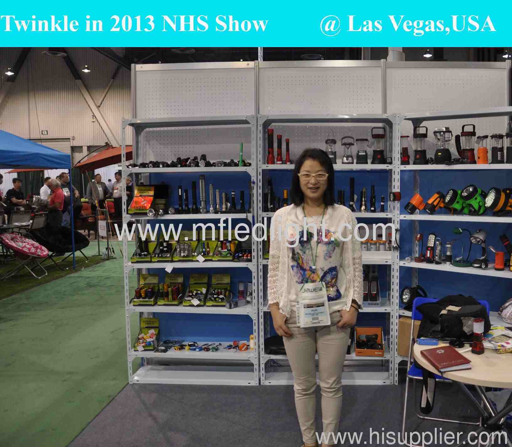 2013 NHS Show in Las Vegas,USA