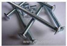 Slotted Roofing Bolts with Nuts