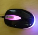OEM color desktop trackball wired mouse