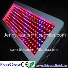 100X3W High Power Wholesale Led Plant Grow Lights EG200 Led Grow Lights China