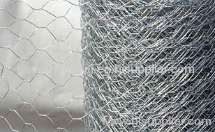 Hexagonal Wire Netting wire mesh