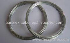 Stainless Steel Wire mesh