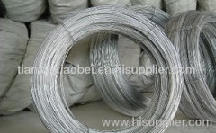 wire mesh Galvanzied Wire