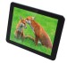 8 inch Android OS dual core tablet pc like mini pad