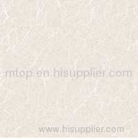 SOLUBLE SALT MSP6039T Polished Tile