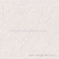 SOLUBLE SALT MSP6689 Polished Tile