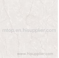 SOLUBLE SALT MSP6655 Polished Tile