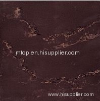 SOLUBLE SALT ML2208 Polished Tile