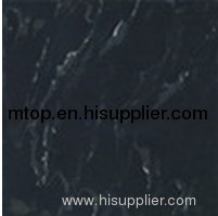 SUPER BLACK MC-01 Polished Tile