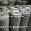 Stainless Steel Welded Wire Mesh, PVC coated, 1/4'' - 6" Mesh, anti - rust