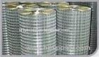 1/4'' - 6" stainless steel welded wire mesh, Galvanized iron, SS, Twill Weave