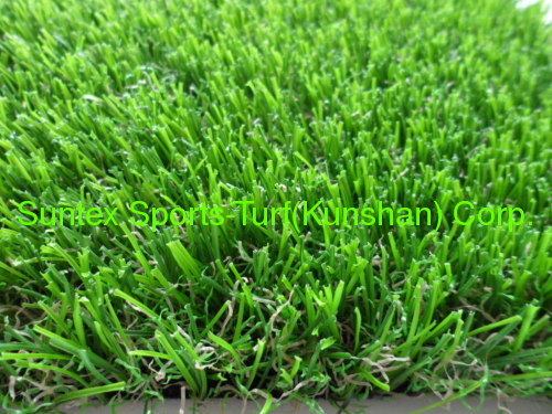 Ornamental grass for golf course