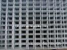 12#-26# PVC coated Welded Wire Mesh, 3/8