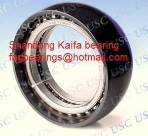 Concrete Mixer Truck Bearing CPM 2513