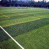 Sports Area Artificial football Turf , Fibrillated fake lawn grass , indoor