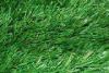 Landscaping Artificial Sports Turf / fake grass carpet 5 / 8 inch