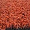 Fire - proof field Tennis White / olive / red artificial turf custom for playground