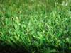 12mm Colored Natural Artificial grass , artificial turf football field