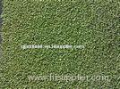 Monofilament Nylon eco friendly Artificial Grass evergreen for garden