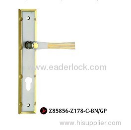 Cylinder hole door lock