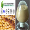 Soybean P.E. (soy isoflavones)